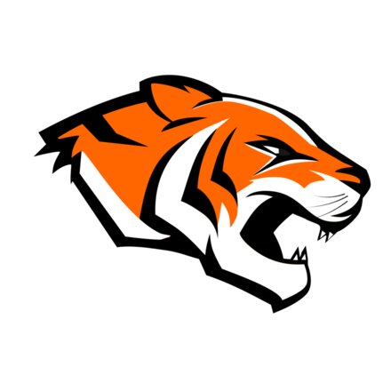 FULL COLOR TIGER Thumbnail