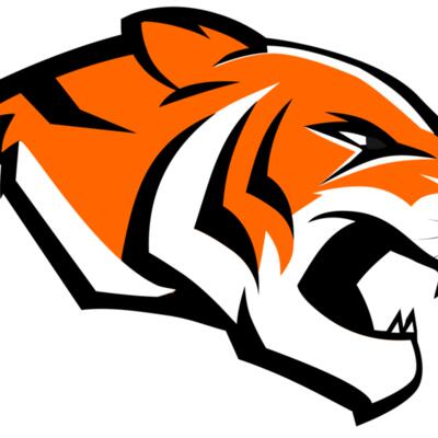 FULL COLOR TIGER Thumbnail