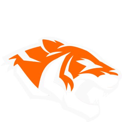 all white just some orange on tiger Thumbnail