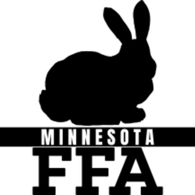 Bunny Shirt Thumbnail