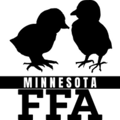 Chicks Shirt Thumbnail