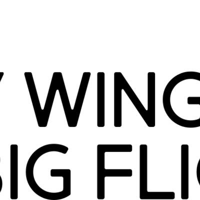 Tiny Wings, Big Flight Thumbnail