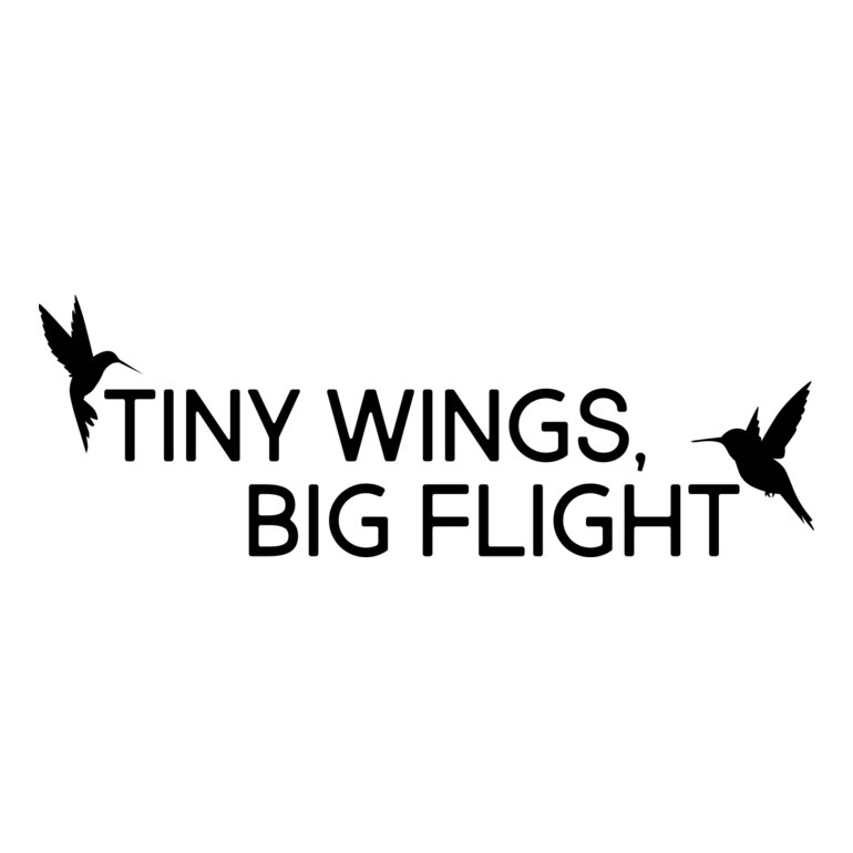 Tiny Wings, Big Flight Thumbnail