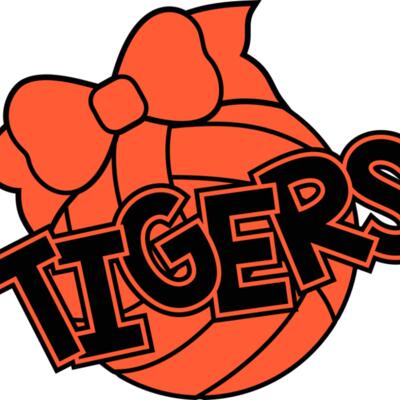 kld Tigers Volleyball Bow Thumbnail