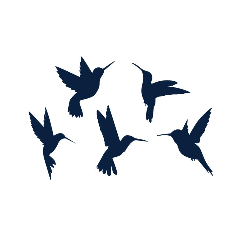 hummin bird silhouettes Thumbnail