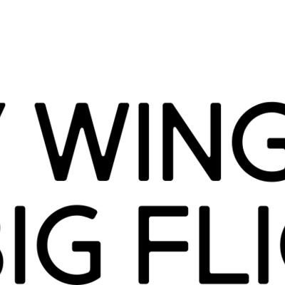 Tiny Wings Big Flight Thumbnail