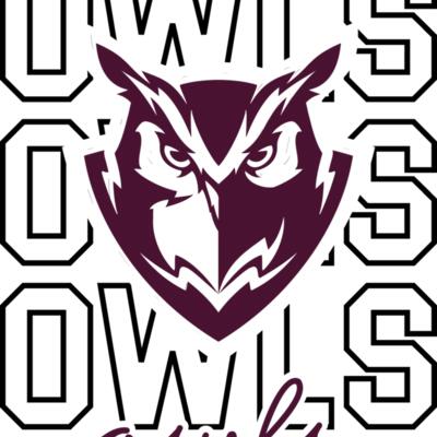 OWLS Repeat Thumbnail